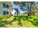 Backyard of the condo with mature landscaping and large lawn area at 498 Lakeview Dr # 45, Palm Harbor, FL 34683