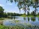 Picturesque view of a serene lake with lush greenery and reflections on the water at 505 Broxburn Ave, Temple Terrace, FL 33617