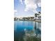 Beautiful view of a serene lake, lined with swaying palm trees, enhancing the tranquil ambiance of the community at 6080 Bahia Del Mar Cir # 109, St Petersburg, FL 33715