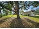 Spacious backyard with lush green lawn, mature shade tree, and partial fencing at 8017 Tudor Pl, Tampa, FL 33610