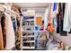Walk-in closet with ample shelving and storage space for clothing, shoes and accessories at 8211 Brent St # 815, Port Richey, FL 34668