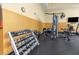 Well-equipped gym featuring a variety of weight machines, dumbbells, and a wall-mounted TV for entertainment at 1108 N Franklin St # 602, Tampa, FL 33602