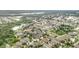An aerial view showcases a community with a lake, mature trees and well-maintained properties at 12721 Avelar Creek Dr, Riverview, FL 33578