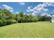 Large, grassy backyard bordered by lush trees and a black fence, offering privacy at 16304 Wild Mallard Dr, Odessa, FL 33556