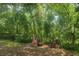 Landscaped backyard oasis with mature trees, two chairs, and an inviting fire pit area at 2328 Harn Blvd, Clearwater, FL 33764
