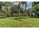 Expansive backyard with lush green grass and variety of mature trees, including palm trees at 2898 Thaxton Dr # 76, Palm Harbor, FL 34684