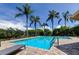 Enjoy this outdoor pool and surrounding palm trees on a sunny day at 2898 Thaxton Dr # 76, Palm Harbor, FL 34684