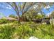 Expansive backyard featuring lush greenery and mature trees offering ample shade at 508 2Nd St, Indian Rocks Beach, FL 33785