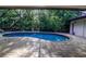 Screened-in kidney-shaped pool with brick pavers and surrounding tropical landscaping at 910 Kingscote Ct, Safety Harbor, FL 34695