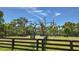 Lush fenced pasture with mature trees and clear blue sky at 10930 Spring St, Largo, FL 33774
