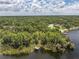 Lakefront property surrounded by dense trees with a dock connected by a wooden boardwalk at 11008 Nest Ct, Odessa, FL 33556