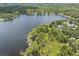 Expansive lakefront property with a private dock surrounded by lush greenery at 11008 Nest Ct, Odessa, FL 33556