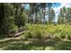 Lush backyard with a wooden bridge surrounded by mature trees and greenery, offering privacy and tranquility at 11008 Nest Ct, Odessa, FL 33556