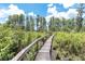 Scenic boardwalk winding through lush greenery, offering a tranquil path to explore nature at 11008 Nest Ct, Odessa, FL 33556