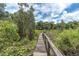 Charming boardwalk path winding through lush surroundings, leading to serene natural areas at 11008 Nest Ct, Odessa, FL 33556