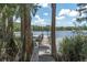 Scenic lake view framed by trees from a wooden dock, providing a serene and picturesque setting at 11008 Nest Ct, Odessa, FL 33556