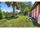 Large backyard with ample green space, mature trees, and partially fenced, offering privacy at 1213 Cuttingin Pl, Tampa, FL 33612