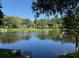 Scenic view of the lake surrounded by lush trees, offering a peaceful ambiance at 1415 7Th N Ave, St Petersburg, FL 33705