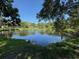 Scenic view of a tranquil pond surrounded by lush greenery and mature trees at 1415 7Th N Ave, St Petersburg, FL 33705