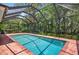 Screened in pool with brick paver patio and mature tropical landscaping surrounding it at 16102 Colchester Palms Dr, Tampa, FL 33647