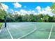 A basketball court in an outdoor setting surrounded by trees at 2120 Gwynhurst Blvd, Wesley Chapel, FL 33543