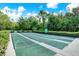Three well-maintained shuffleboard courts with benches, trees, and a relaxing outdoor setting at 2120 Gwynhurst Blvd, Wesley Chapel, FL 33543