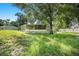 Backyard view showcasing the back of the house with a screened porch and lush greenery at 2121 Odessa Gardens Ln, Odessa, FL 33556