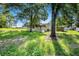Wide angle view of house and backyard featuring a screened porch and wooded backdrop at 2121 Odessa Gardens Ln, Odessa, FL 33556