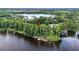 Breathtaking aerial view of waterfront home surrounded by mature trees at 3620 Little Rd, Lutz, FL 33548