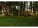 Gorgeous backyard featuring mature trees and scenic water views at 3620 Little Rd, Lutz, FL 33548