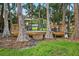 Beautiful backyard deck surrounded by trees, with outdoor seating and charming string lights at 3620 Little Rd, Lutz, FL 33548