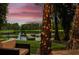 Lake view featuring a dock with lounge chairs and lakeside seating at 3620 Little Rd, Lutz, FL 33548