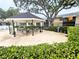 Community pool featuring shaded gazebo with ceiling fan and tables in outdoor setting near building at 3810 N Oak Dr # N31, Tampa, FL 33611