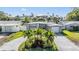 A beautifully landscaped front yard featuring palm trees, greenery, and a well-maintained lawn at 4015 Overlook Ne Dr, St Petersburg, FL 33703