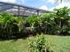 Landscaped backyard with lush tropical foliage and a view of the screened-in pool at 4957 Seafoam Trl, Bradenton, FL 34211