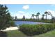 Outdoor basketball court with palm trees and surrounding landscaping under a sunny, partly cloudy sky at 4957 Seafoam Trl, Bradenton, FL 34211