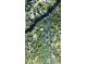 An aerial view shows the beautiful property outlined in blue, surrounded by trees and a river at 6924 Valrie Ln, Riverview, FL 33569
