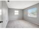 Spacious bedroom featuring neutral carpet, gray walls, and natural light from two windows at 8033 Norwich Dr, Port Richey, FL 34668