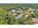 Aerial view of homes near a beautiful lake, amidst a lush landscape filled with mature trees and greenery at 9202 Brindlewood Dr, Odessa, FL 33556