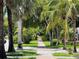 Picturesque tree-lined street view with manicured lawns and lush greenery, showcasing a desirable neighborhood setting at 1136 Granada St, Clearwater, FL 33755