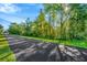 Scenic view of a quiet road surrounded by lush trees at 11908 Pilot Country Dr, Spring Hill, FL 34610
