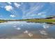 Picturesque pond reflecting clear skies among a neighborhood of homes at 30732 Summer Sun Loop, Wesley Chapel, FL 33545