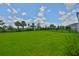 This backyard offers plentiful lawn space, enhanced by beautiful landscaping and full fencing at 5438 Summer Sunset Dr, Apollo Beach, FL 33572
