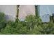 Aerial view of a home's roof partially obscured by tall trees and greenery at 5918 Beaconpark St, Lithia, FL 33547