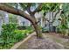 Lush backyard showcasing mature landscaping, a brick-lined walkway, and tropical plants at 5918 Beaconpark St, Lithia, FL 33547