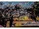 Backyard view of the waterfront at sunset, featuring a private dock with boat and a mature shade tree at 739 Chesapeake Dr, Tarpon Springs, FL 34689