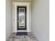 Close-up of the front door showcasing the decorative glass and black frame at 9316 Crescent Ray Dr, Wesley Chapel, FL 33545