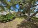 Home with a large tree in the front yard offering shade and curb appeal at 9411 Rainbow Ln, Port Richey, FL 34668