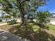 Home exterior with mature landscaping providing shade and curb appeal at 9411 Rainbow Ln, Port Richey, FL 34668