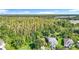 An aerial view of a home surrounded by lush greenery and a wooded area at 10323 Birdwatch Dr, Tampa, FL 33647